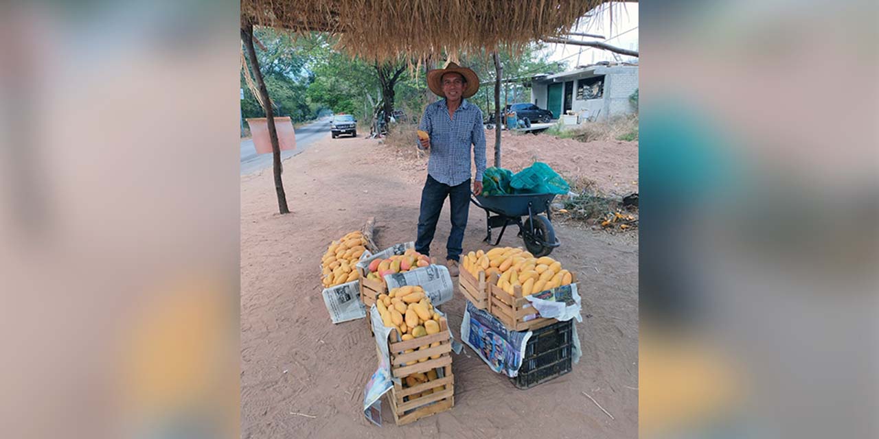 Productor de mango en Cuicatlán regala sus productos a las mamás | El Imparcial de Oaxaca