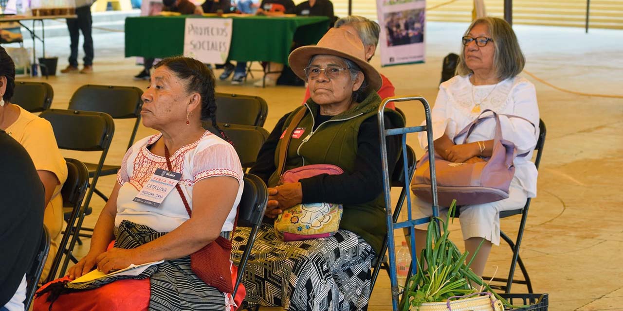 Desvalorizan y abandonan a madres mixtecas | El Imparcial de Oaxaca