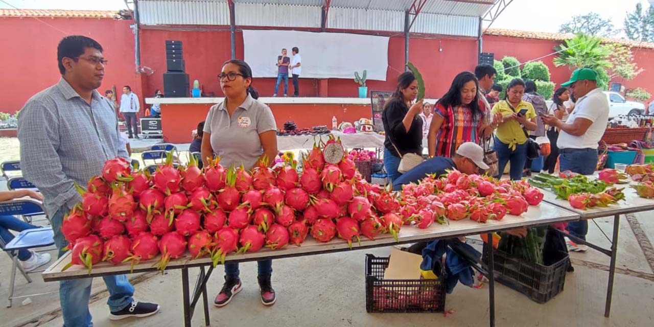 Este festival motivó a los productores que pudieron conocer las técnicas sobre el cultivo de la pitaya y pitahaya.