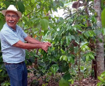 Gregorio Aragón, productor de café en Pluma Hidalgo, comentó que han sido afectados sus cafetales.