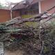 Lluvia provoca caída de árbol en primaria de Huajuapan