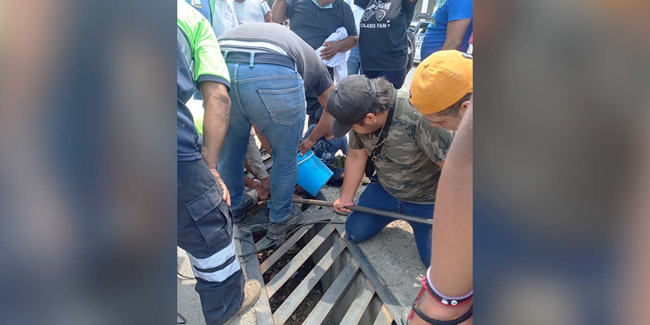Niño cae en alcantarilla de tienda de autoservicio en Tehuantepec | El Imparcial de Oaxaca