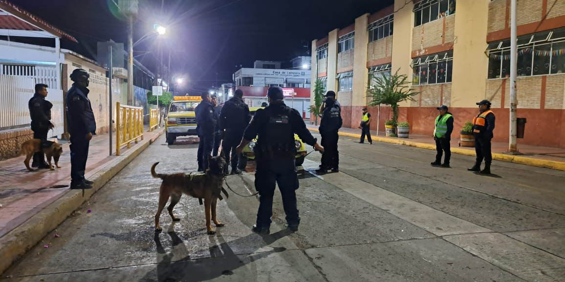 Perro policía halla marihuana en unidad de motor | El Imparcial de Oaxaca