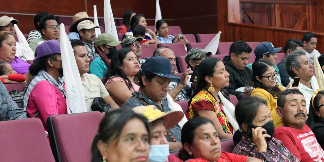 Foto: Movimiento de Acción Social Oaxaca / Protesta del Comité de Víctimas de Nochixtlán en la Cámara de Diputados.
