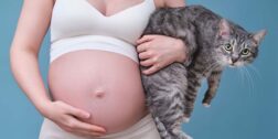 Foto: internet / La enfermedad de toxoplasmosis puede causar complicaciones graves en las mujeres embarazadas.
