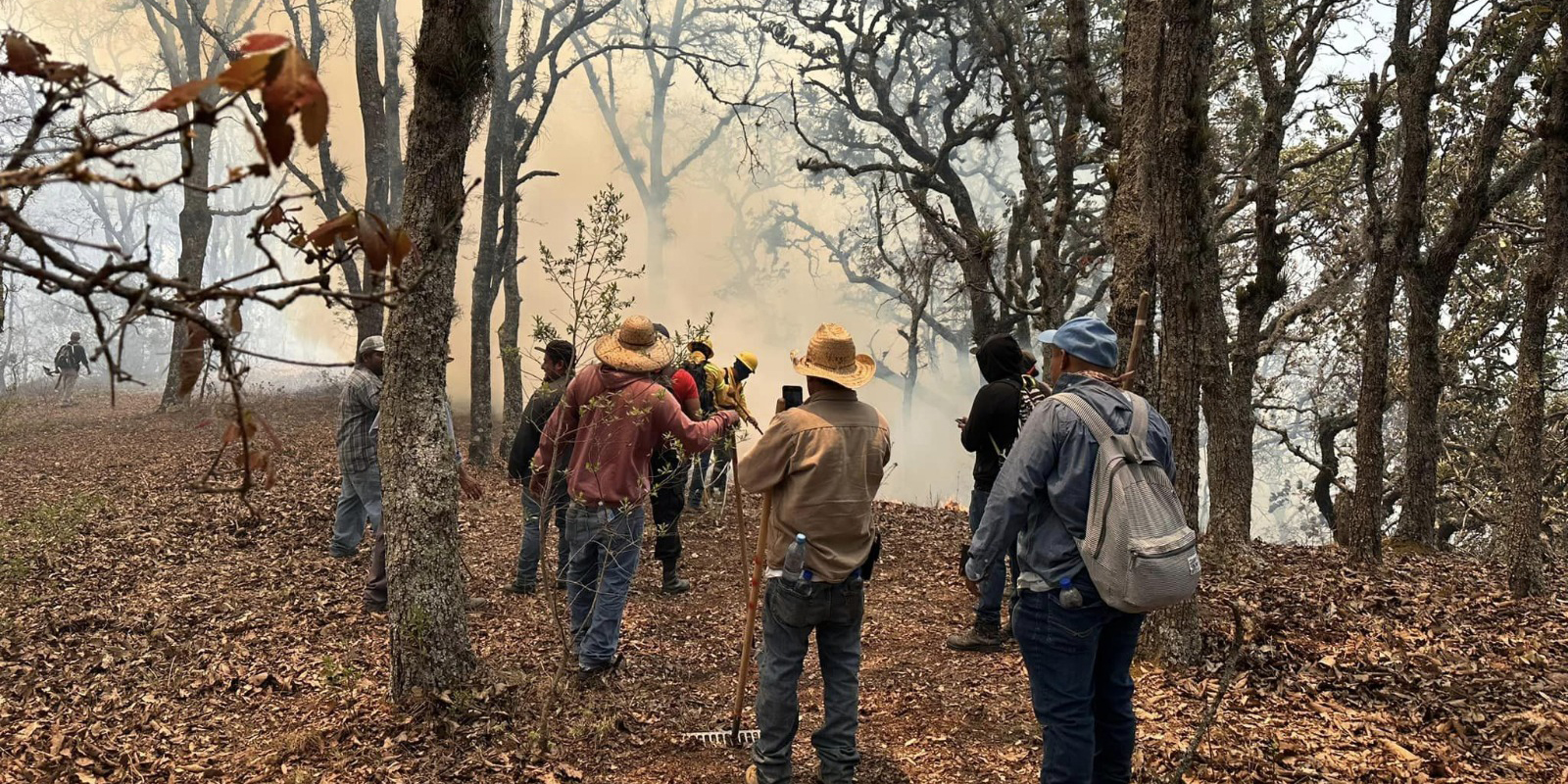 Controlan incendio forestal en Juquila; activos los de Ayoquezco y Atatlahuca | El Imparcial de Oaxaca