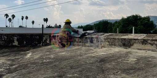 Bomberos prestan auxilio en las diversas regiones de la entidad | El Imparcial de Oaxaca