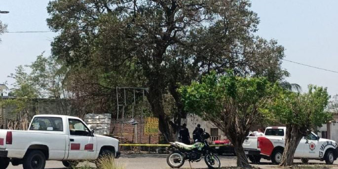Perro mata a niño de 5 años en Veracruz | El Imparcial de Oaxaca