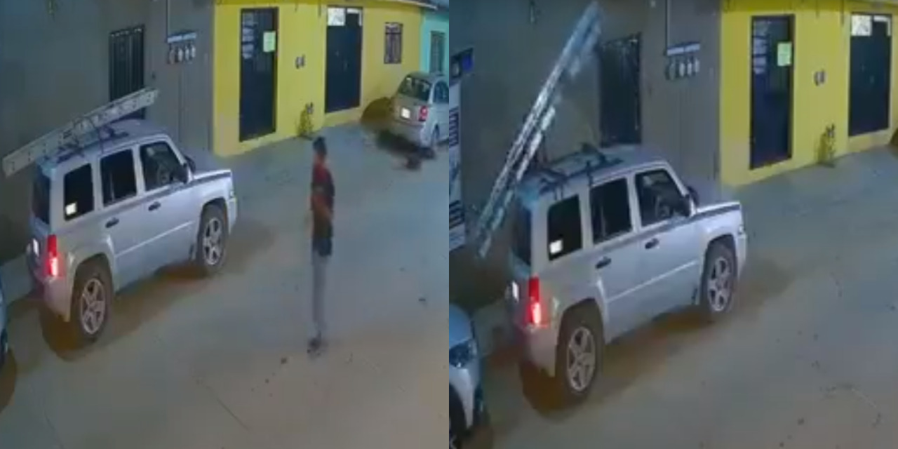 ‘Cachan’ a ‘caco’ atracando escalera de una camioneta | El Imparcial de Oaxaca