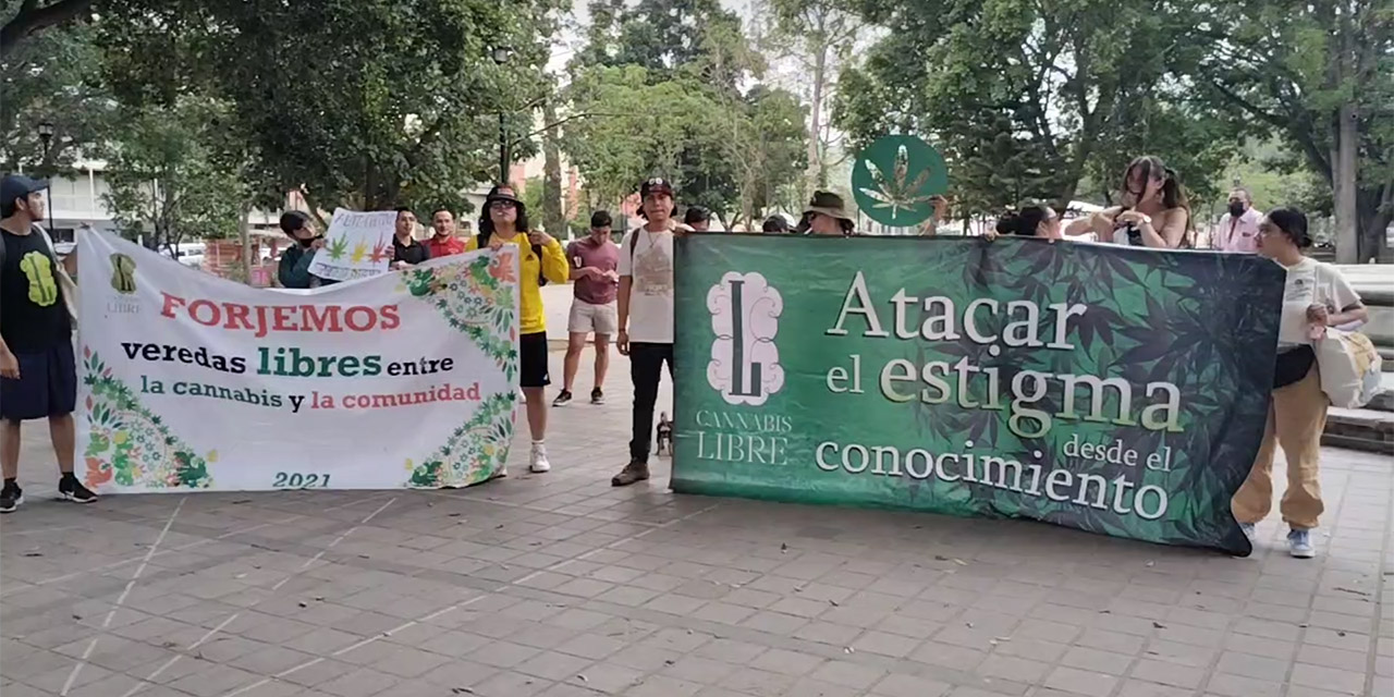 Exigen no criminalizar a la comunidad cannábica | El Imparcial de Oaxaca