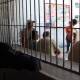 Reprueba CNDH sistema penitenciario de Oaxaca