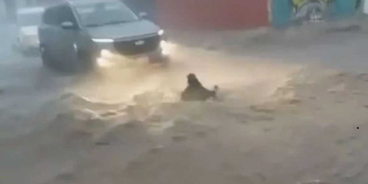 ¡Héroe en acción! Joven rescata a niña arrastrada por la corriente tras fuertes lluvias en Teotihuacán | El Imparcial de Oaxaca