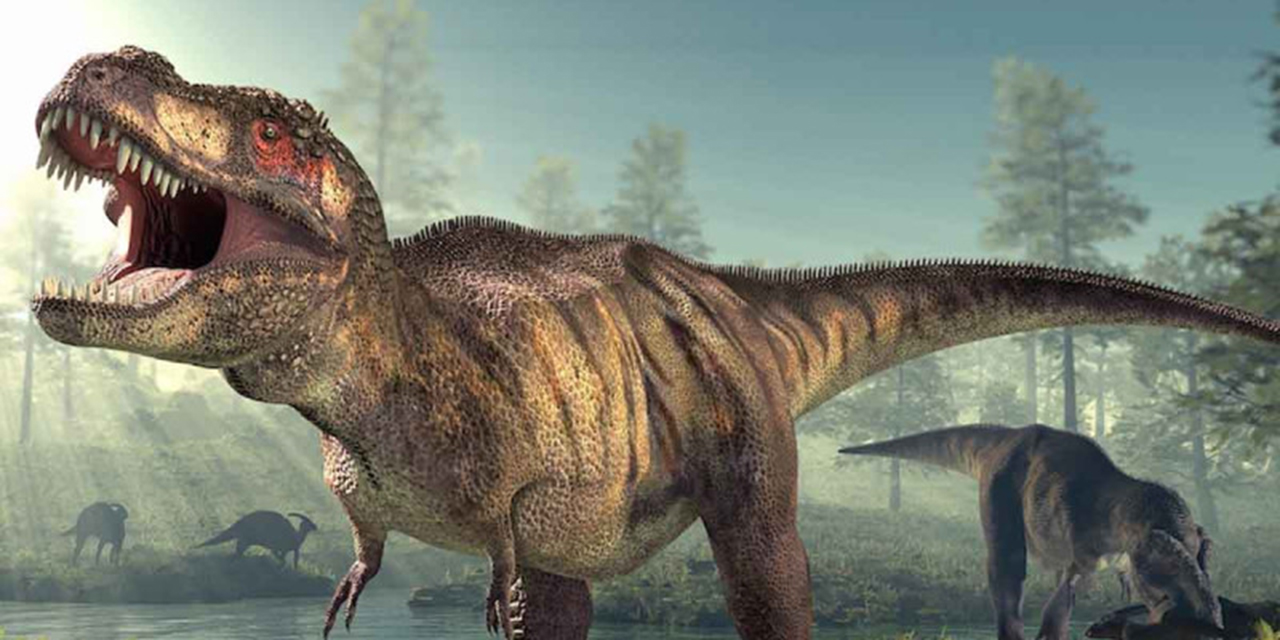 ¿A qué olían los dinosaurios?  Esto consideran los científicos  AGENCIAS | El Imparcial de Oaxaca