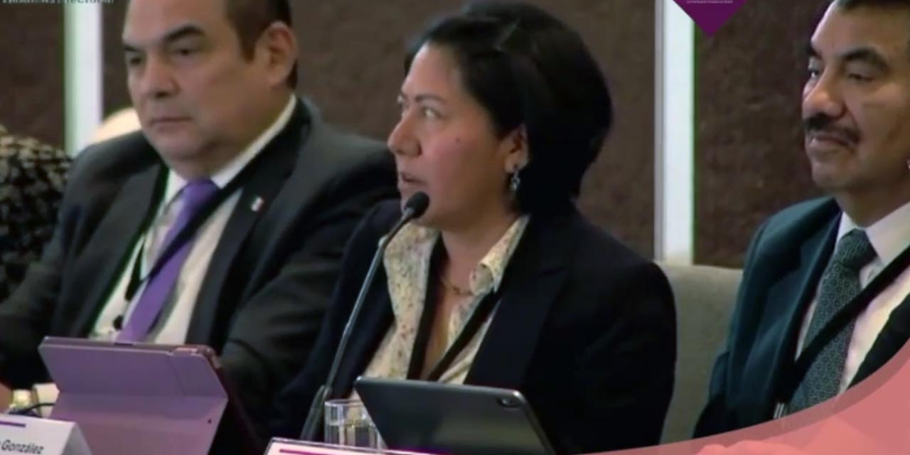 Foto: IEEPCO / Elizabeth Sánchez González, presidenta del IEEPCO, participó en las reuniones de trabajo celebradas en el INE.
