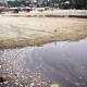 Crece contaminación en playa principal de Puerto Escondido