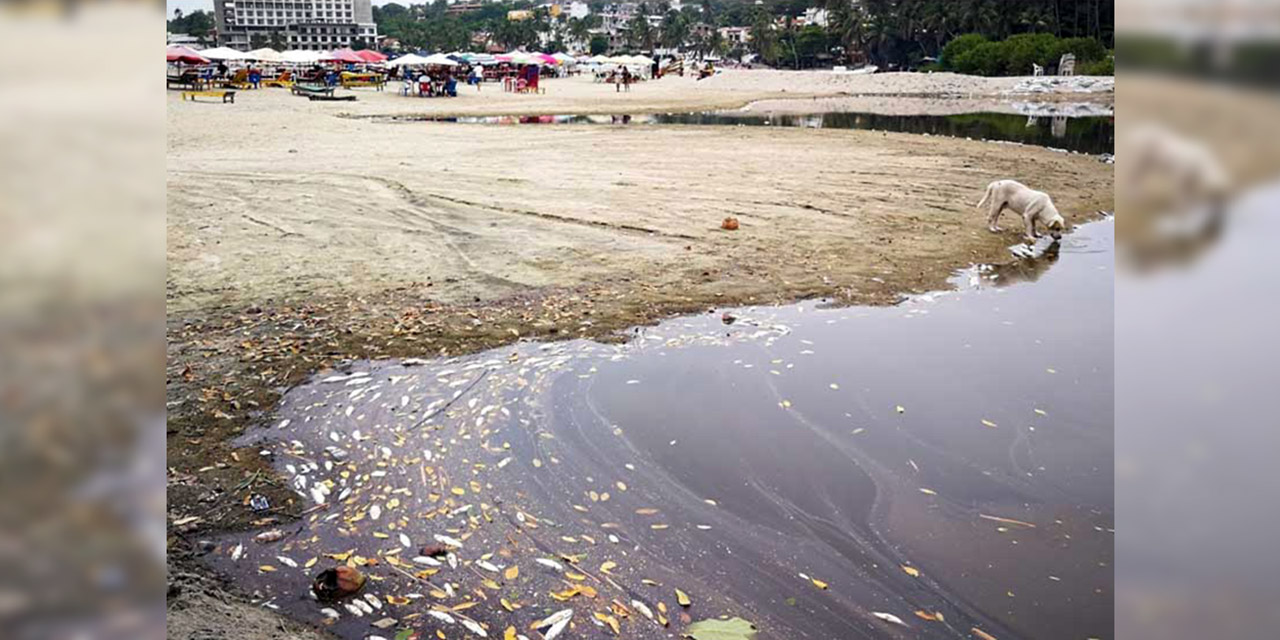 Foto: Miguel Gutiérrez / Las aguas residuales han contaminado la playa principal de Puerto Escondido.