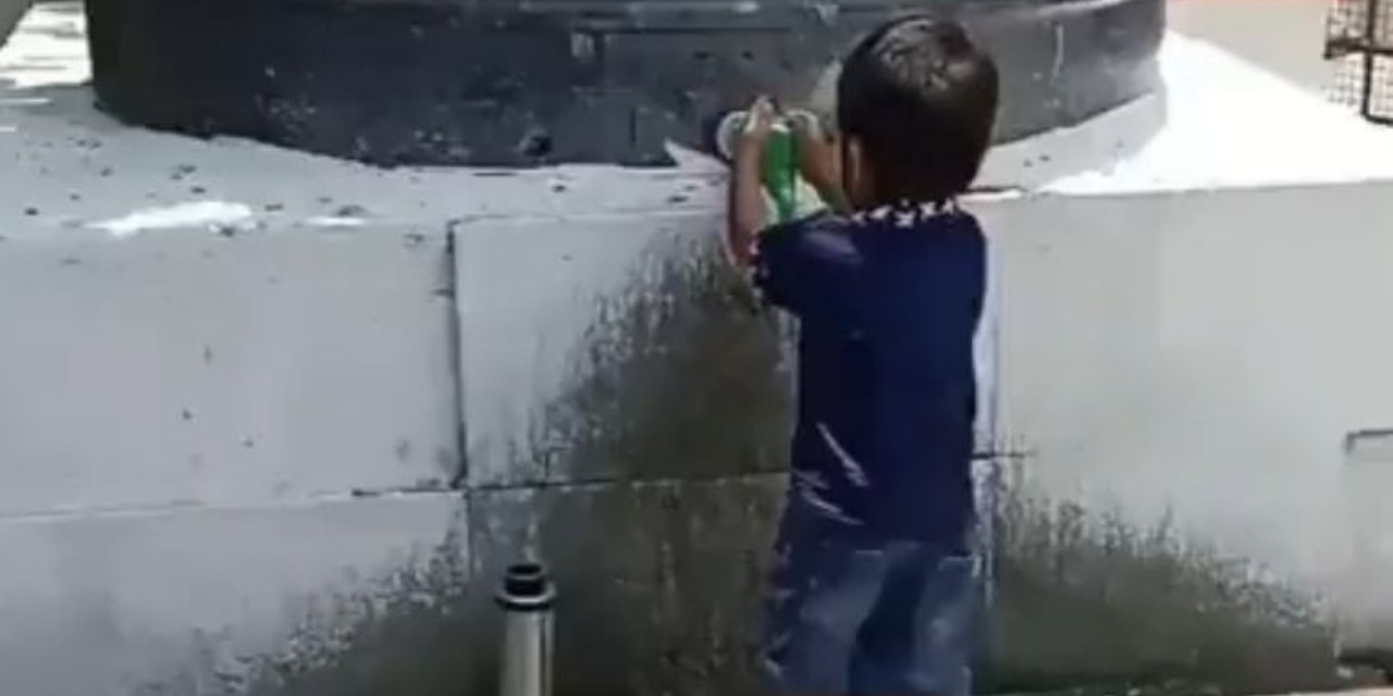 Niño conmueve al servir agua a aves en medio del intenso calor | El Imparcial de Oaxaca