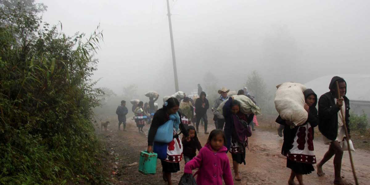 Grupo armado ataca campamento de desplazados en Polhó, Chiapas | El Imparcial de Oaxaca