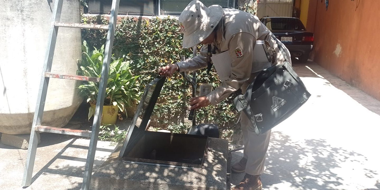 En Valles Centrales, mayor incidencia de dengue: 66 casos