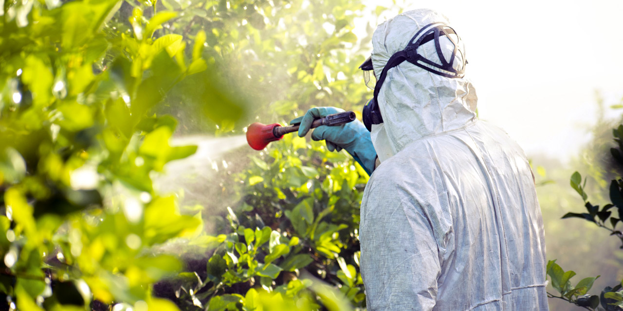 Notifican 11 casos de intoxicación por fertilizantes | El Imparcial de Oaxaca