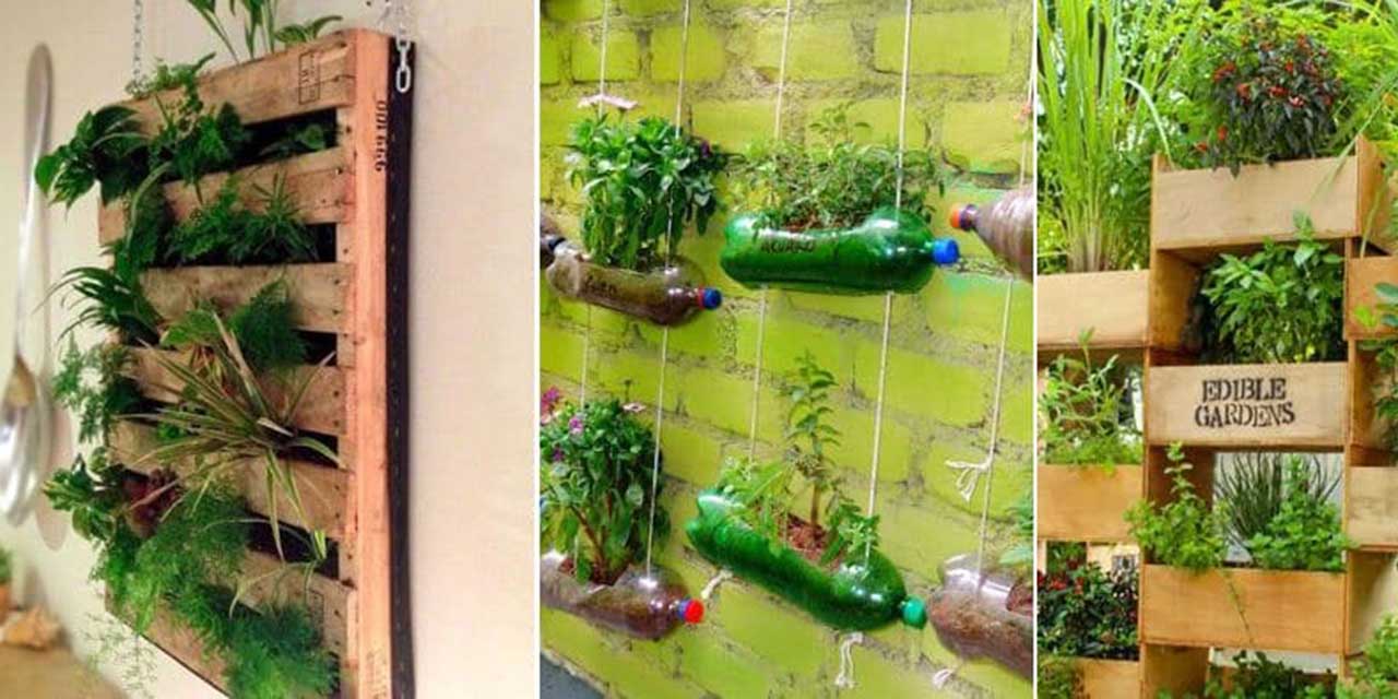 ¿Cómo crear un mini jardín sin un patio en tu casa?