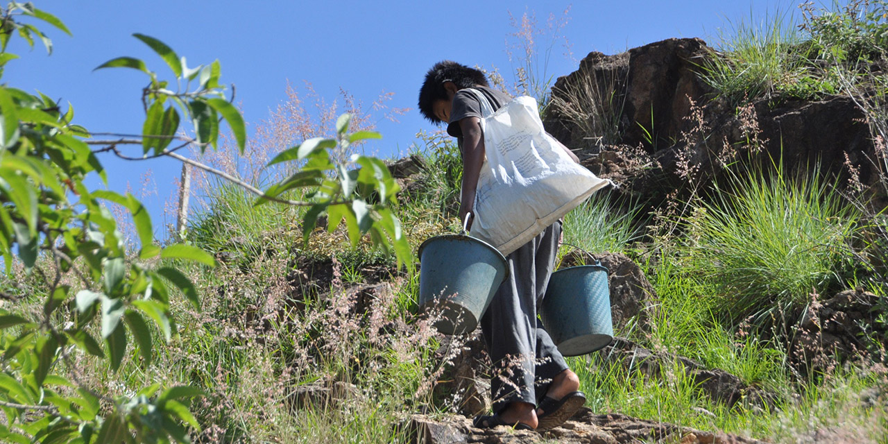 Presentan 84 municipios algún grado de sequía | El Imparcial de Oaxaca