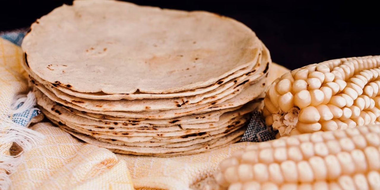 ¡No te dejes engañar! Aprende a identificar una tortilla de mala calidad | El Imparcial de Oaxaca