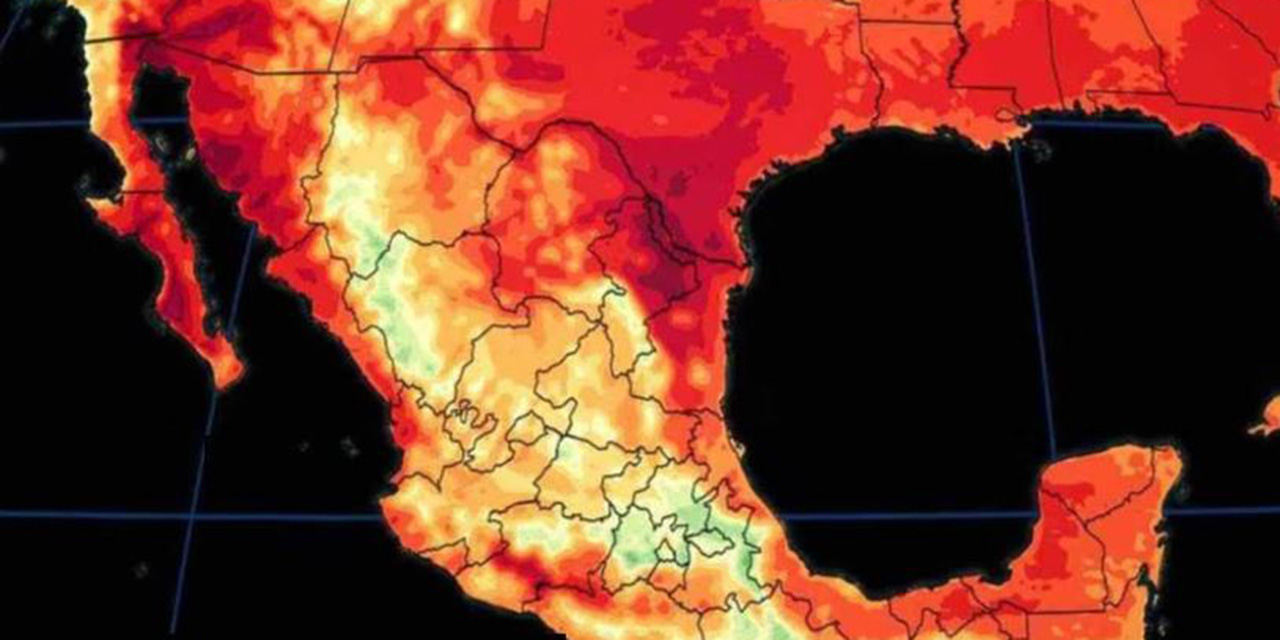 OMS Alerta sobre el Riesgo de Enfermedades Debido a Olas de Calor Extremo | El Imparcial de Oaxaca
