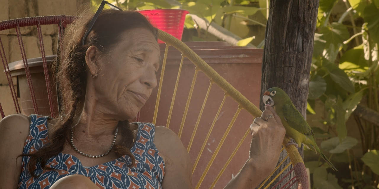El festival DocsOaxaca arranca con la proyección de la película “A través de Tola”, de la cineasta oaxaqueña Casandra Casasola.