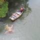 Localizan cuerpo flotando en el río Papaloapan en Tuxtepec