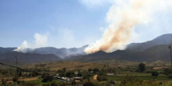 Foto: Archivo El Imparcial / Los incendios forestales arrasan con los bosques de Oaxaca.