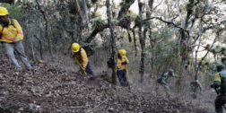 Foto: Adrián Gaytán / Participan 23,710 combatientes en la presente temporada de incendios forestales en Oaxaca.