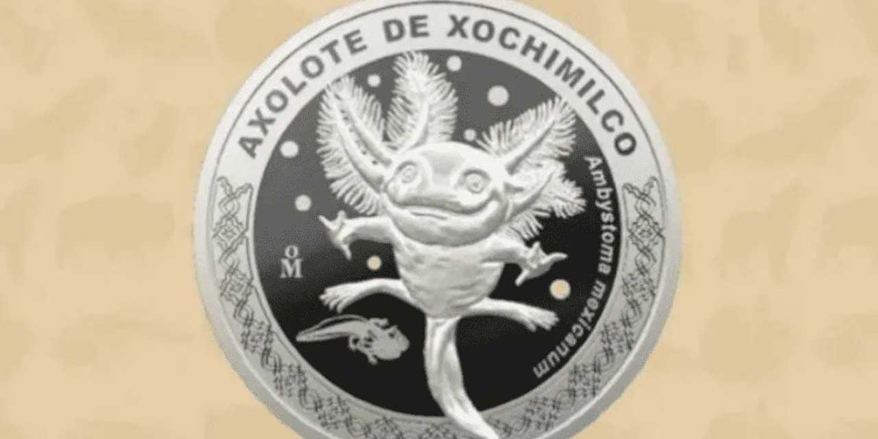 Esto cuesta la nueva moneda conmemorativa del Ajolote | El Imparcial de Oaxaca