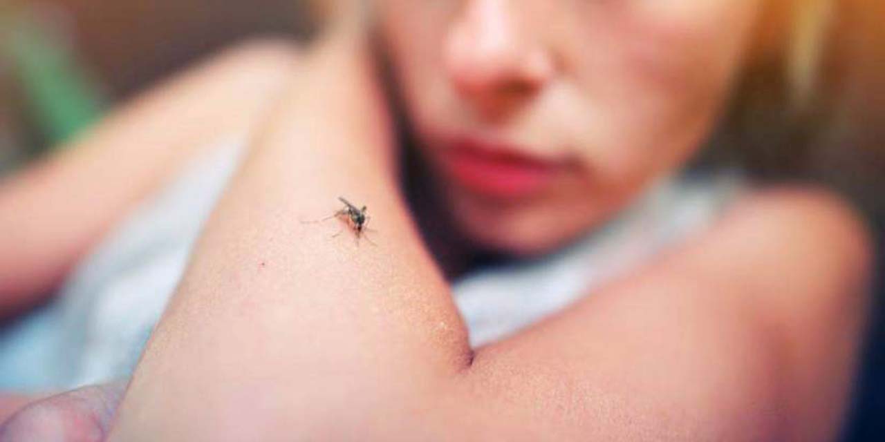 Acumula la entidad 149 casos de dengue en lo que va del año