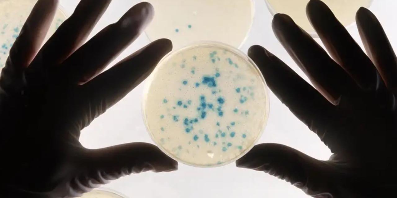 Bacterias “entrenadas” podrían convertirse en detectores tempranos de cáncer | El Imparcial de Oaxaca