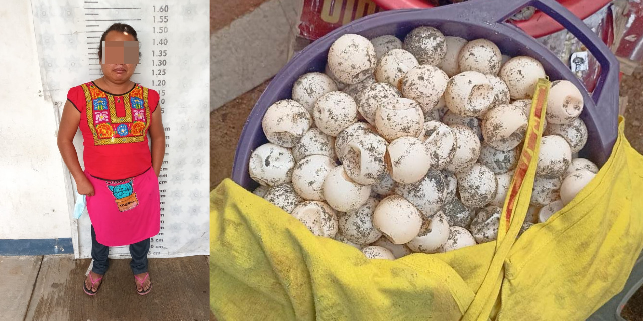 Llevaba 300 huevos de tortuga; queda preso | El Imparcial de Oaxaca