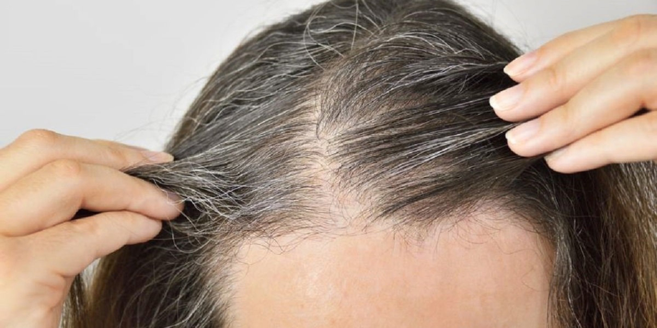 ¿Cómo combatir las canas? La semilla que puede ser la solución