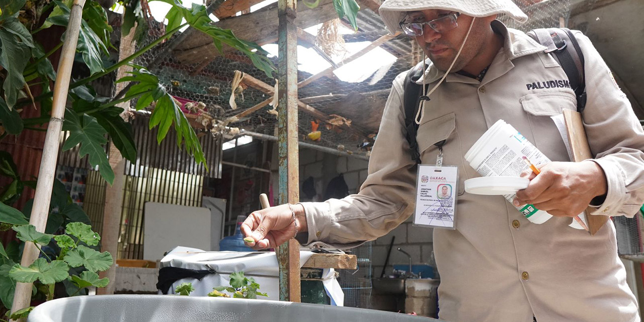 Acumula Valles Centrales 7 de cada 10 casos de dengue