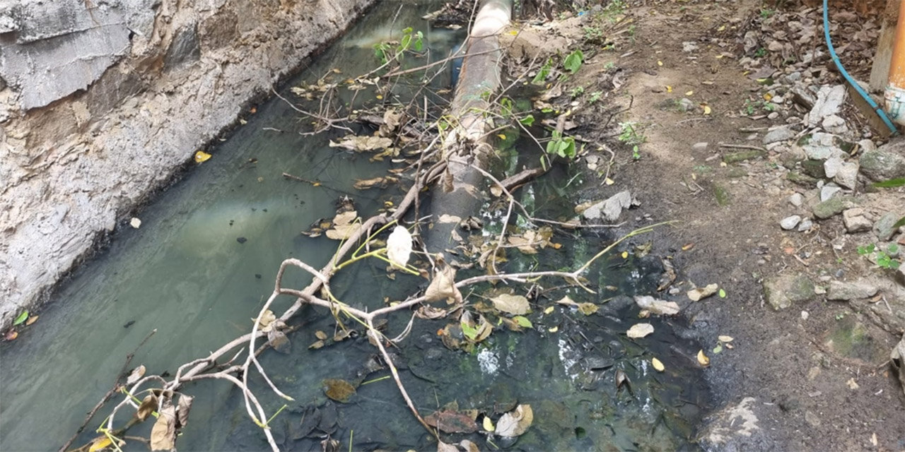 Detectan más de 23 descargas de aguas negras en Puerto Escondido | El Imparcial de Oaxaca