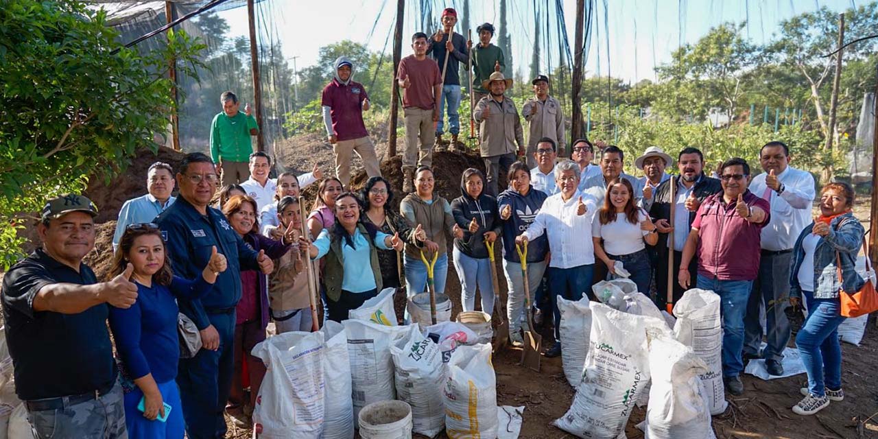 Foto: Municipio de Oaxaca de Juárez // Ayer se encostaló el abono orgánico que será repartido mañana sábado en El Llano.