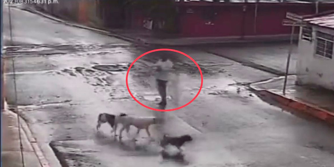 VIDEO: Sujeto dispara contra 4 perritos en colonia Tres Cerritos, Puebla | El Imparcial de Oaxaca