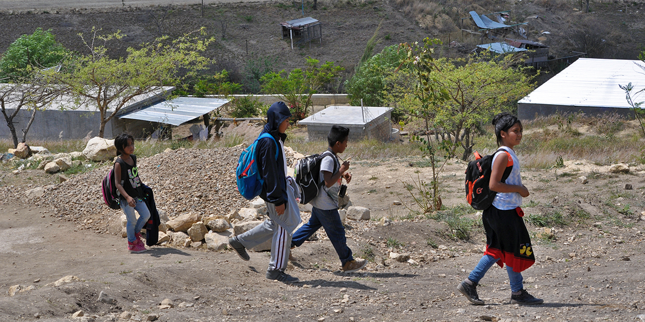 Foto: Adrián Gaytán / El camino a la escuela, entre terracería y veredas, en Valles Centrales.