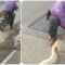 El sujeto ató al perro con una cuerda a su moto y lo arrastró varios metros; la intervención de una mujer hizo que el hombre soltara al perro.