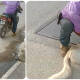 Desalmado arrastra en moto a un perro en Soledad, Etla