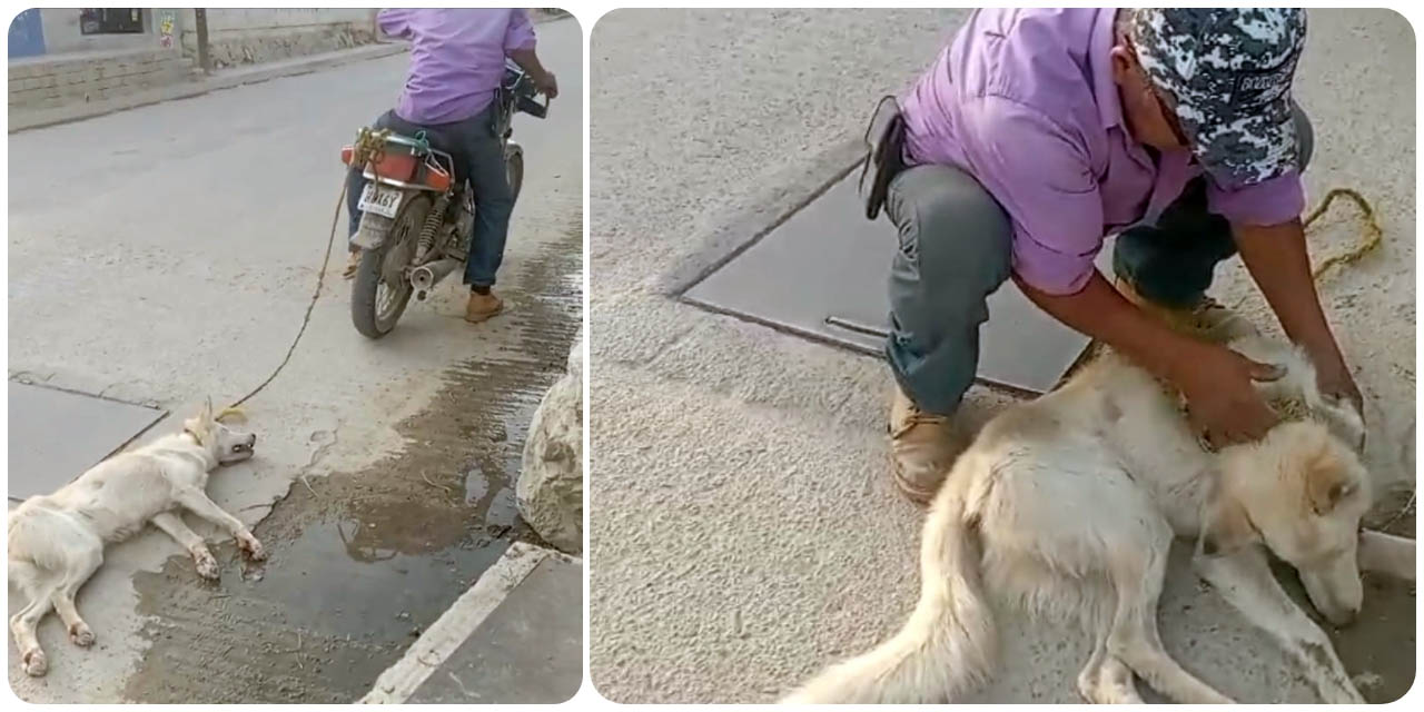 El sujeto ató al perro con una cuerda a su moto y lo arrastró varios metros; la intervención de una mujer hizo que el hombre soltara al perro.