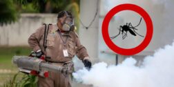 Exhortan a la acción preventiva para reducir al mínimo los casos de dengue o paludismo que se presenten.
