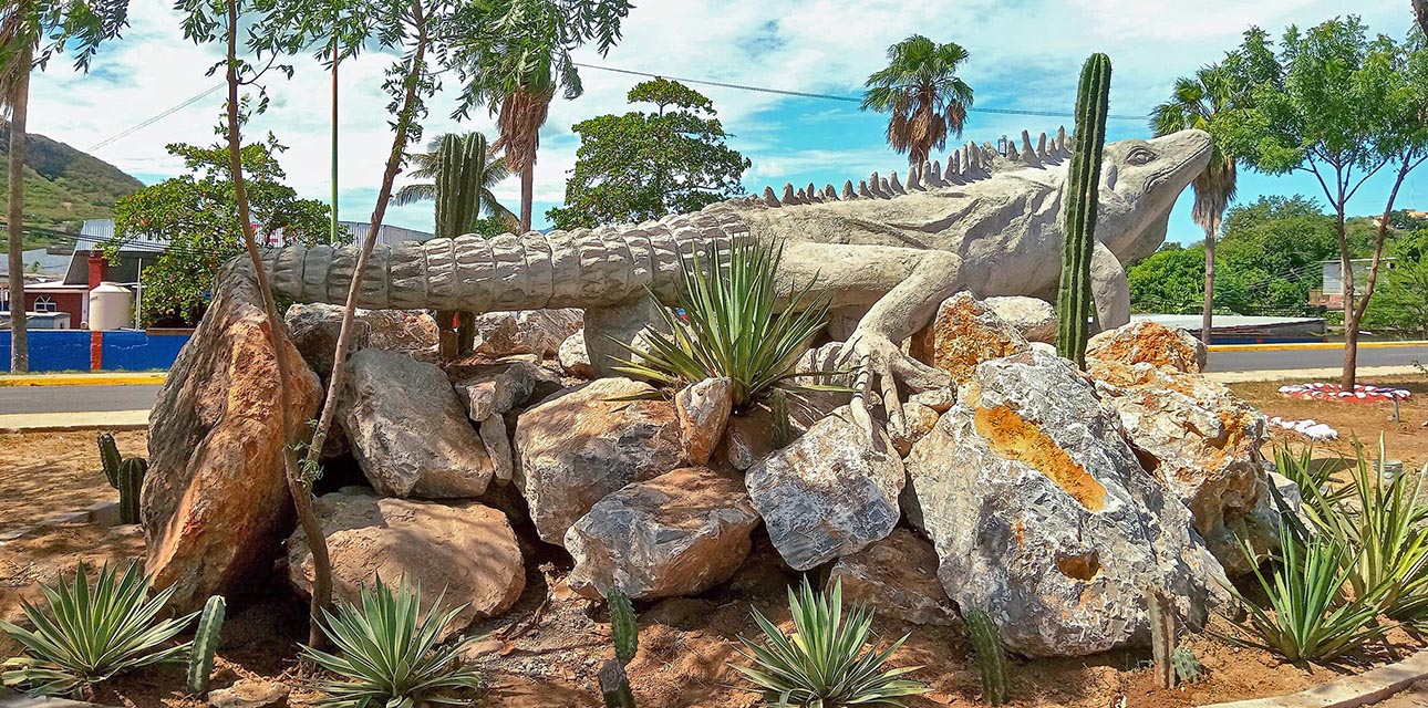 La escultura de la iguana mide aproximadamente 12 metros de largo, hasta la cola.