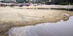 Fotos: Miguel Gutiérrez / Las aguas residuales se vierten sobra la playa principal de Puerto Escondido