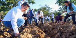 Fotos: Municipio de Oaxaca de Juárez / Los terrenos de El Tequio brindarán los rábanos a horticultores y escultores.