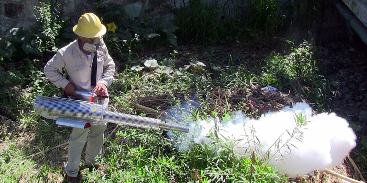 Foto: archivo / Personal de Vectores realizando trabajos de nebulización y-fumigación contra el dengue.